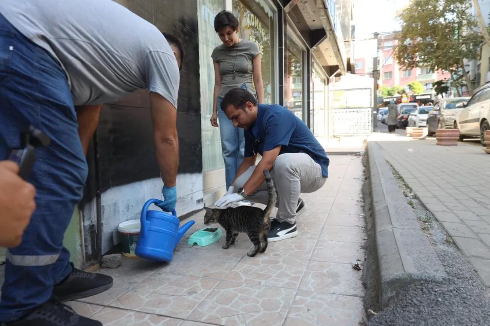 DARICA BELEDİYESİ